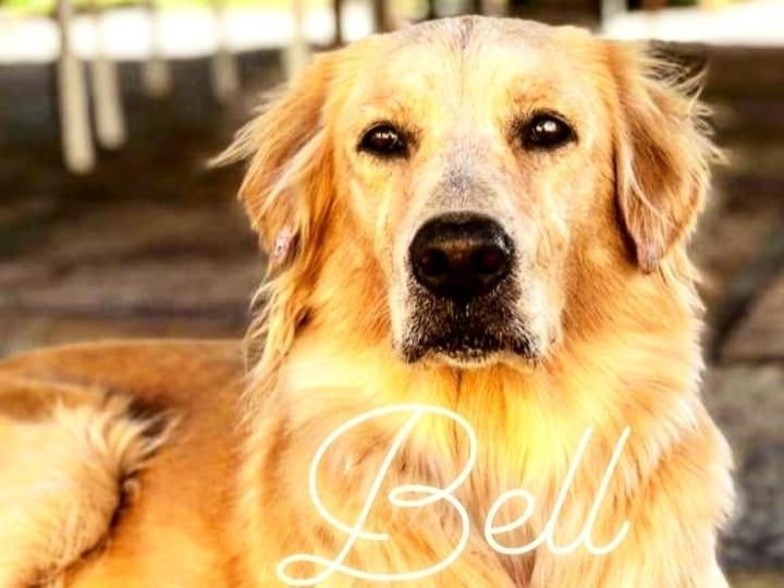 Pousada Da Bell Barreirinhas Exteriör bild